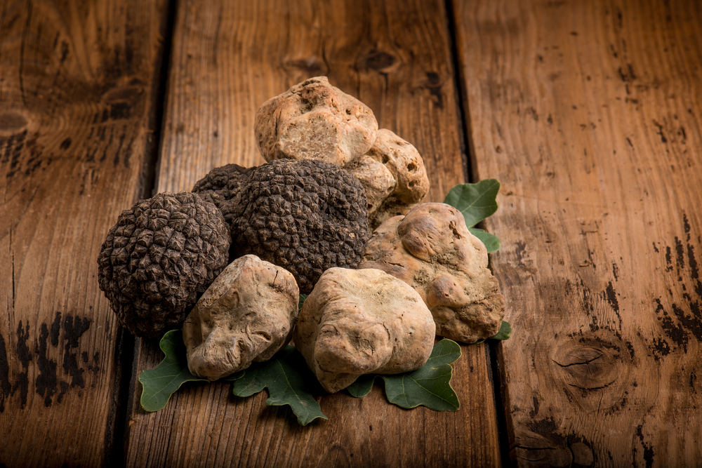 The Exquisite World of Fresh Truffle Varieties Khosh Truffle