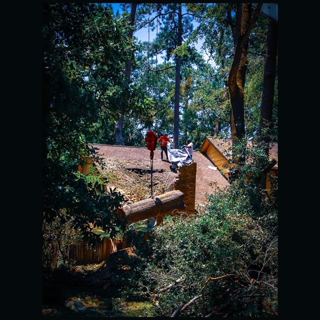 Kingwood Strong Hurricane Beryl Mustang Monthly