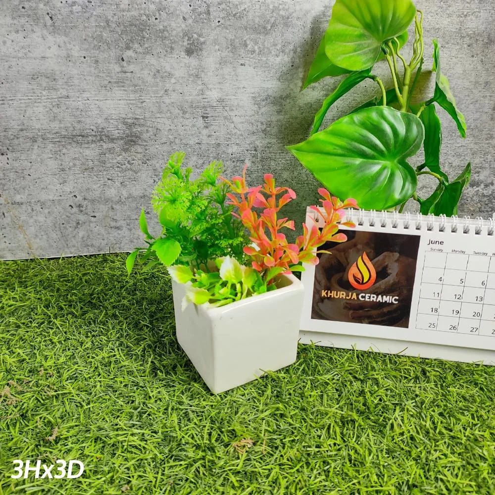 White Khurja Pottery Indoor Succulents Ceramic Pots Wholesale