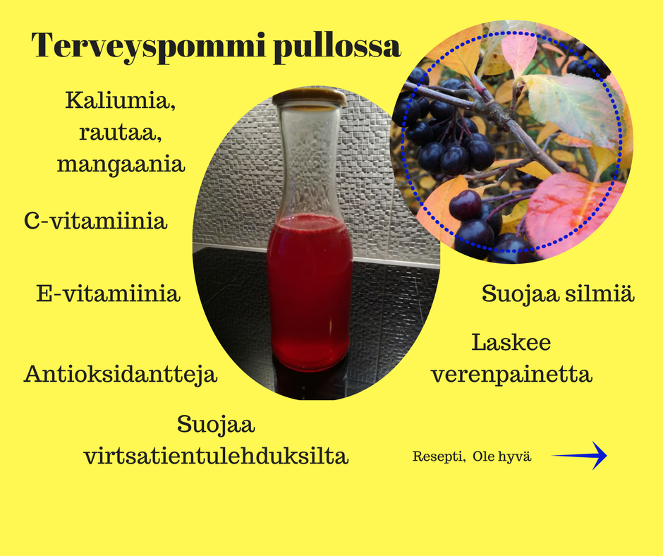 Terveellistä Marja-Aroniamehua! | Puutarhan Sykkeessä