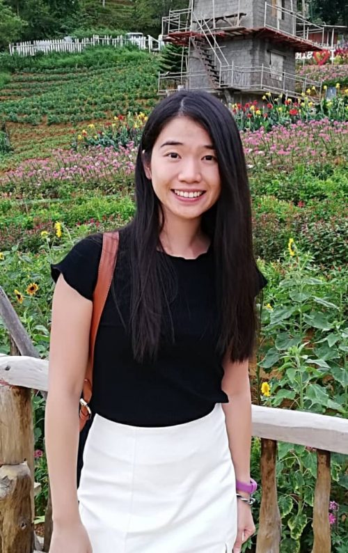 Postgraduate Supervision KianPing Lim