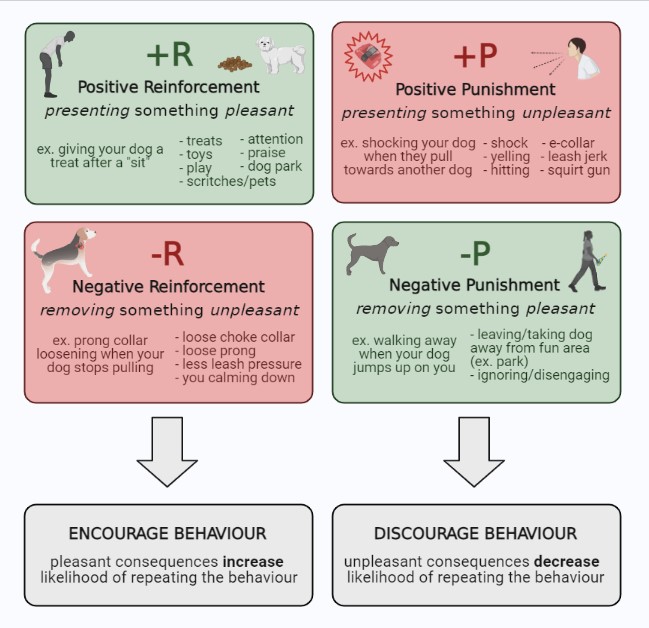 How Is Negative Reinforcement Different From Punishment In Dogs