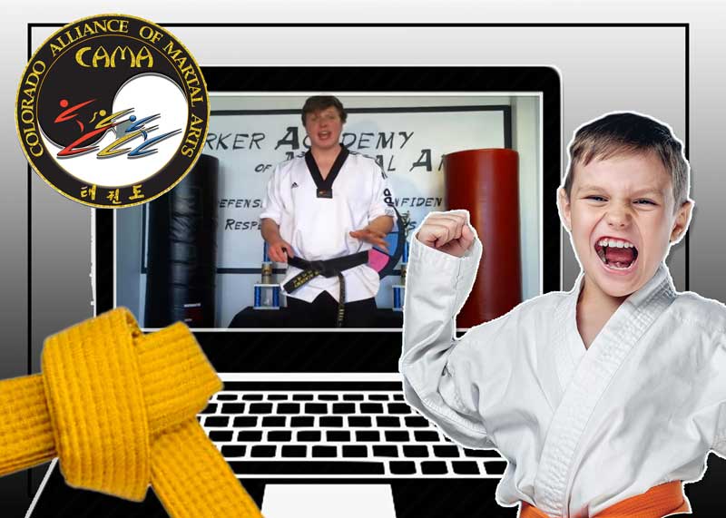 Online Taekwondo Training Colorado Alliance of Martial Arts