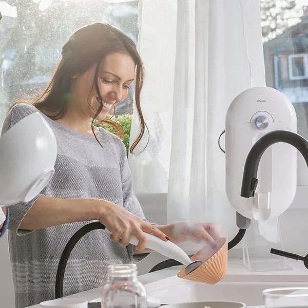Dayoo Kitchen Steam Cleaner & Dishwasher KICKSTARTECH