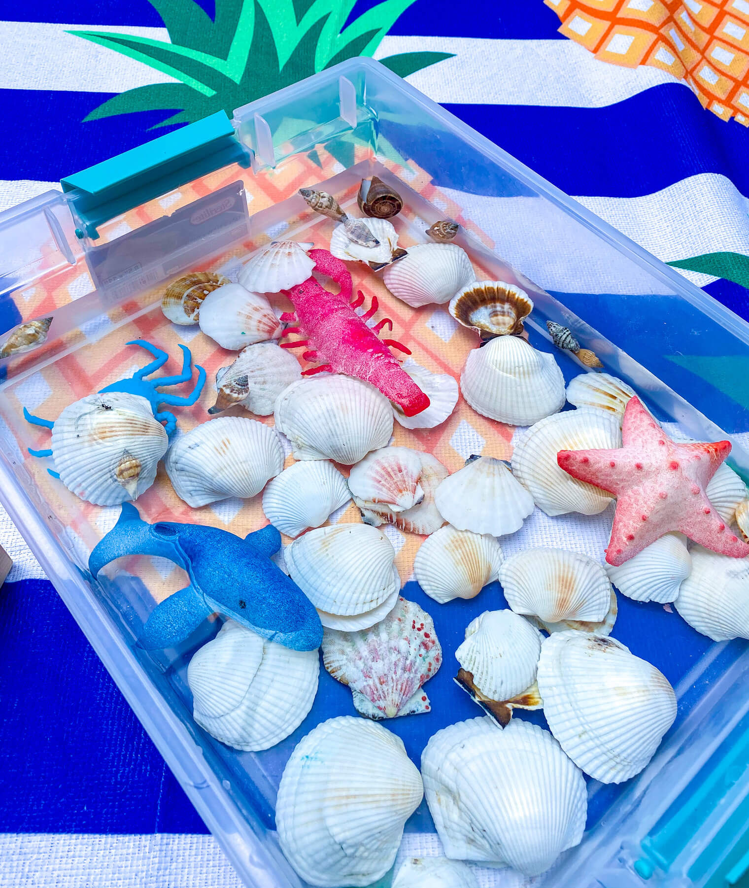 35+ Brilliant sensory bins for Babies Kid Activities with Alexa