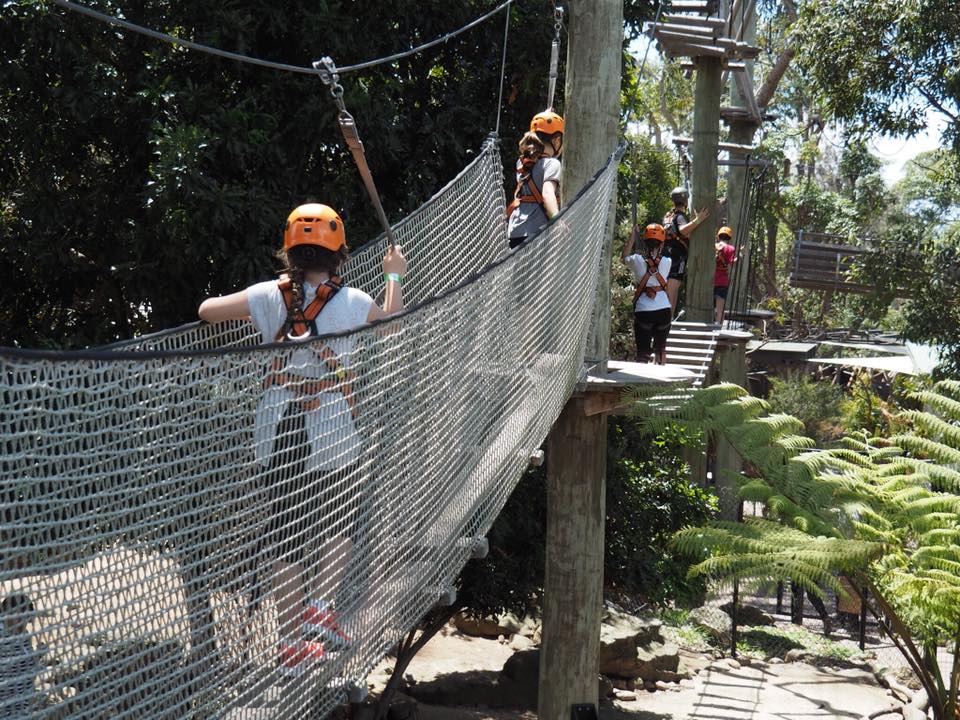 Wild Ropes at Taronga Zoo High Ropes Course in Sydney The Kid Bucket List
