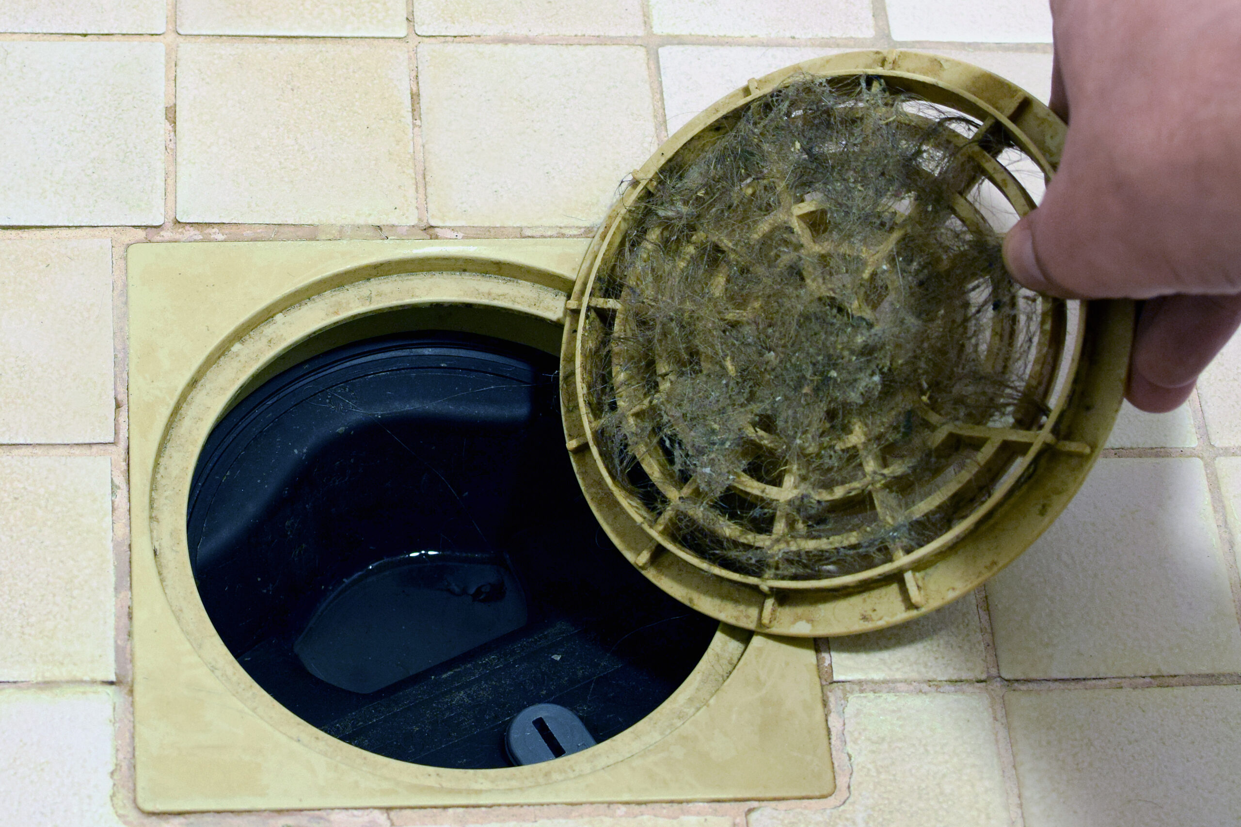 Unclog Your Shower Drain Fast! Kiddco Plumbing