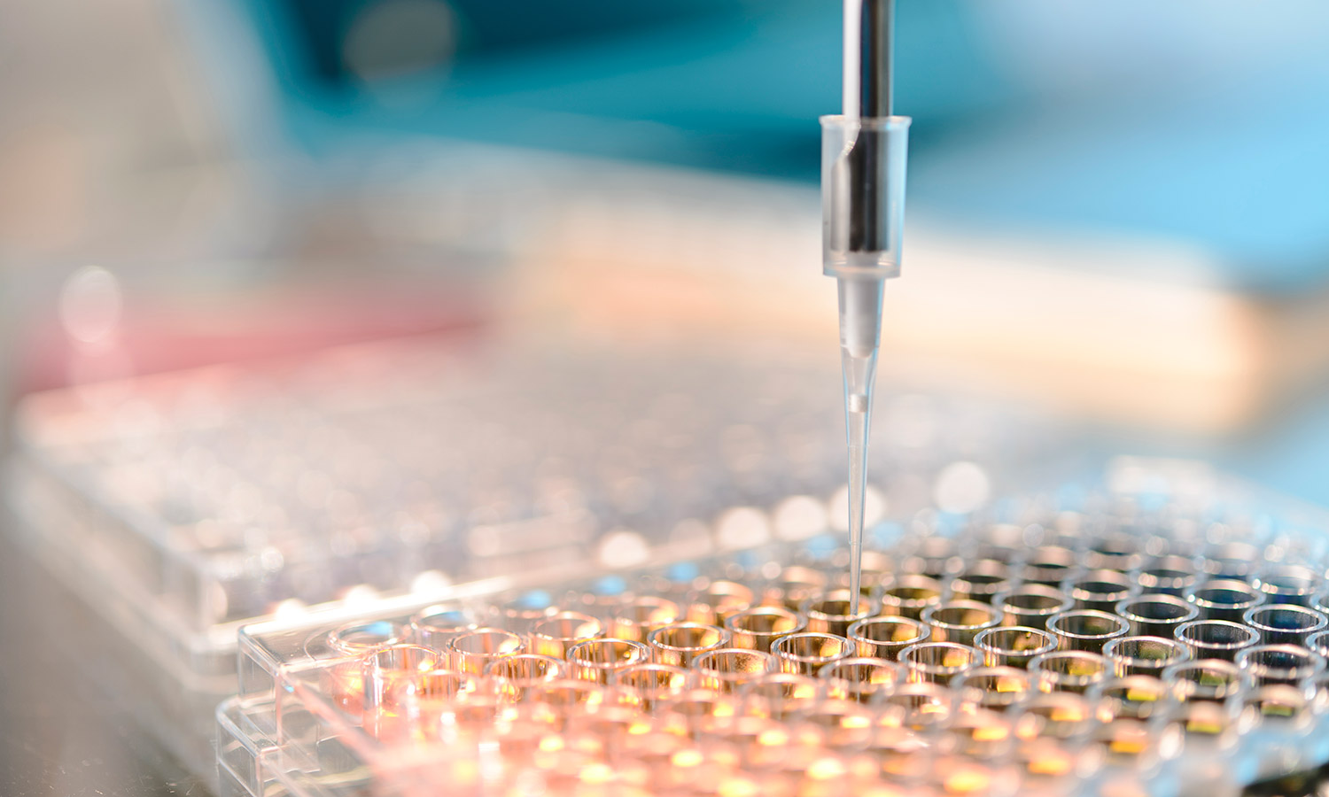 Bucking Trends, Bay Area Life Science Market Shows Resilience Kidder Mathews