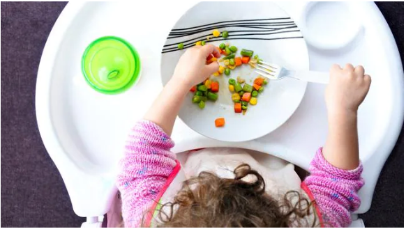 A new study looks at the ‘dangers of a vegan diet for infants’ Kiddipedia