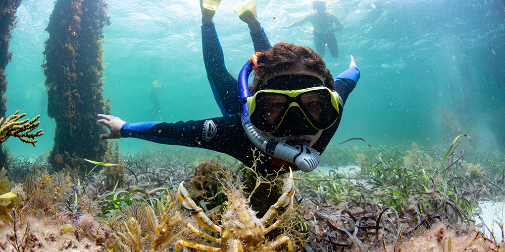 Top 10 Snorkel Spots in South Australia KIDDO Mag