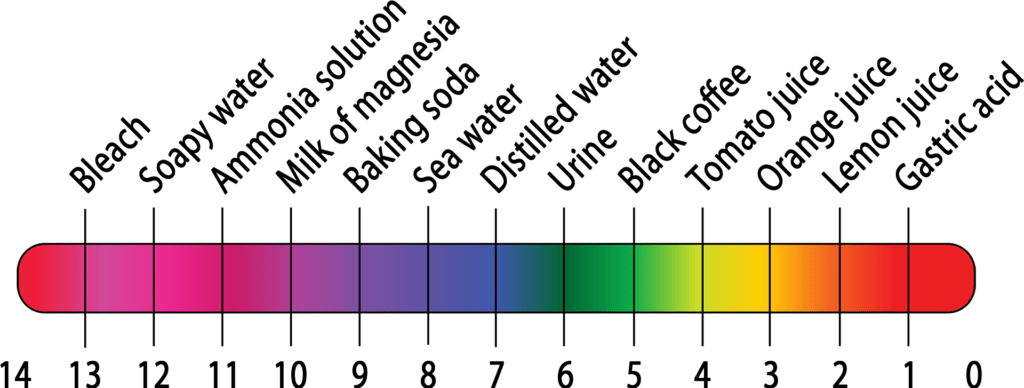 Homemade pH Paper - Kidizen Science