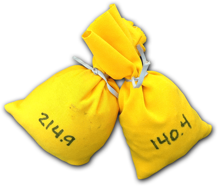 Weights and Weighing Kidizen Science