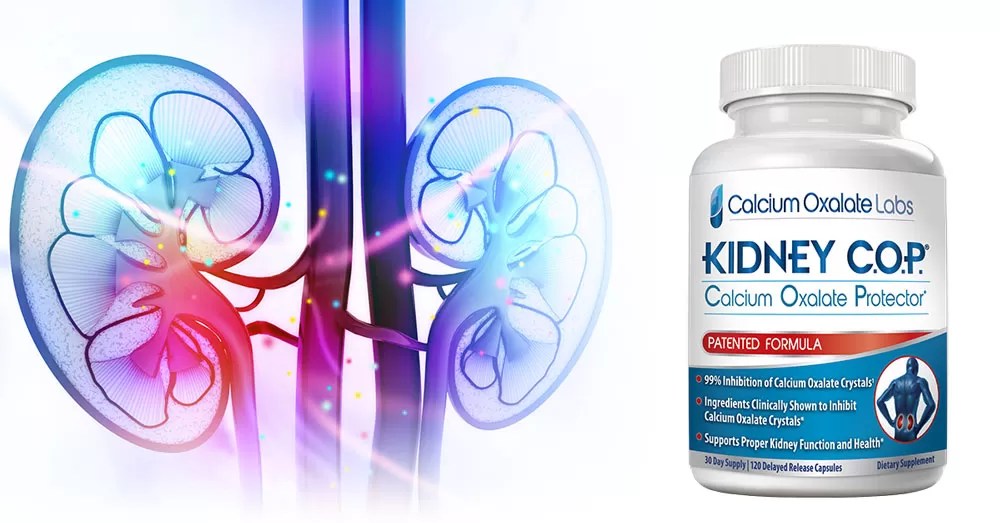 How Does Kidney Calcium Oxalate Protector (C.O.P.)® Work? Kidney COP