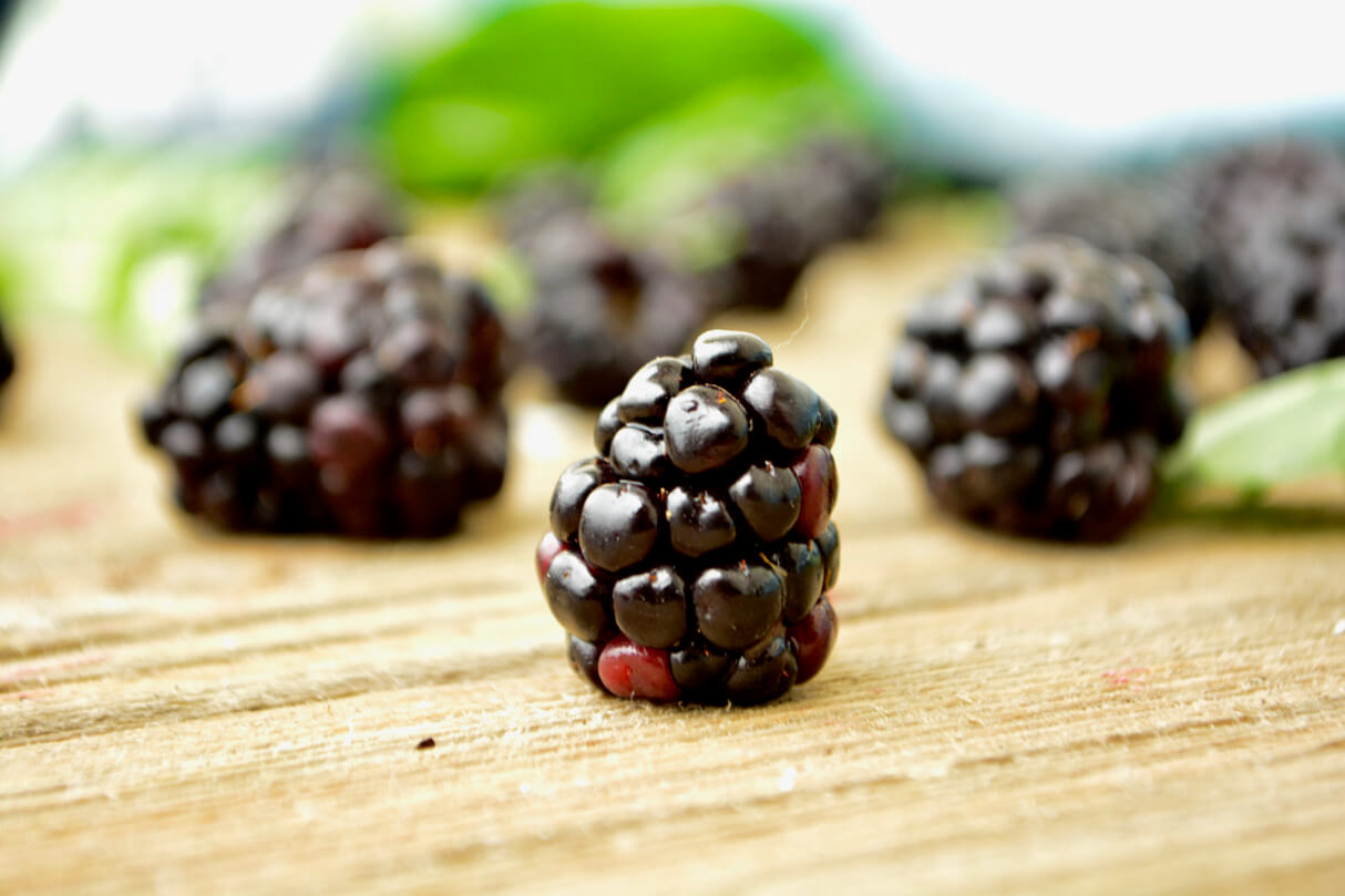 Blackberry Spinach Salad (with a bit of kidneyfriendly bacon surprise