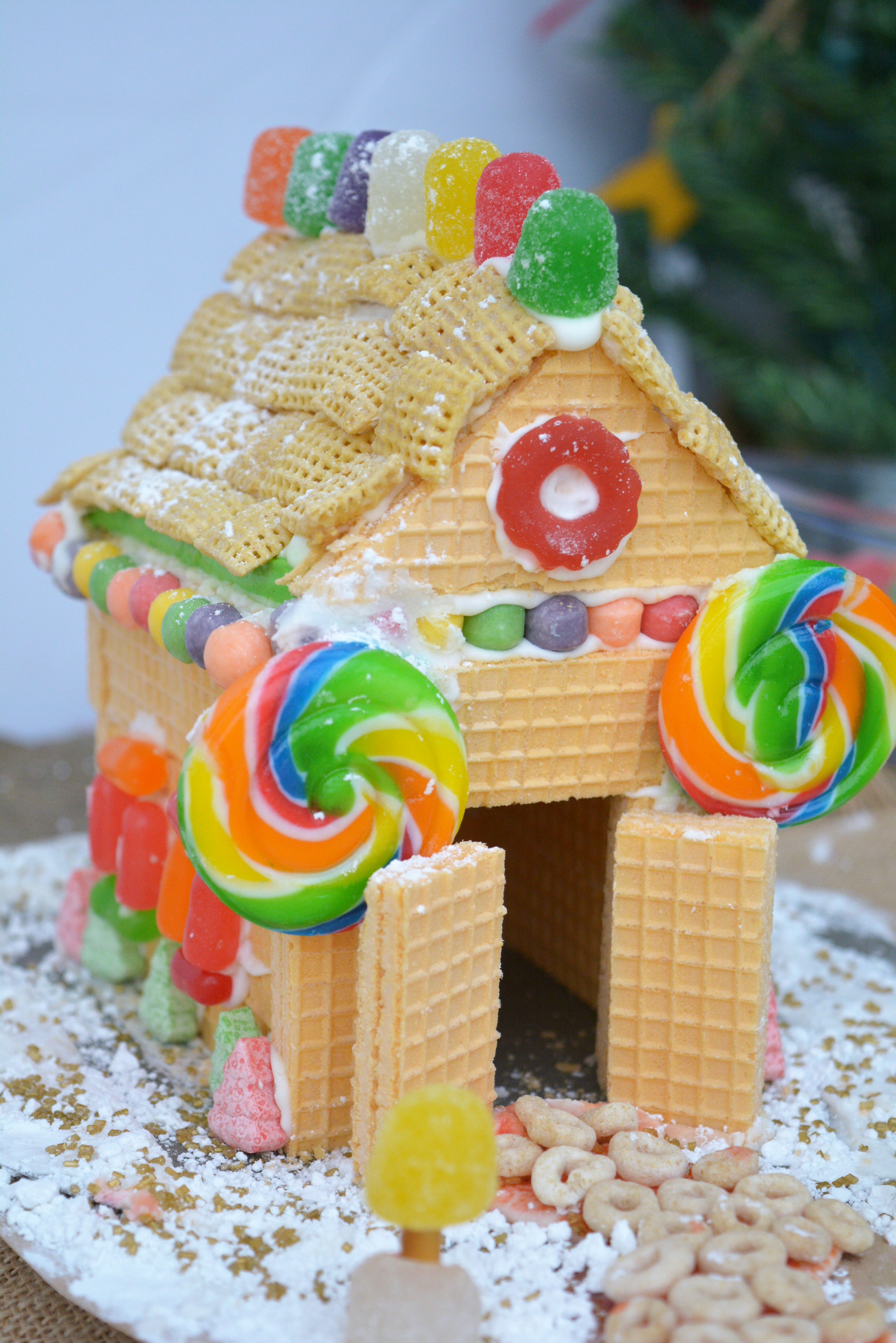 Cookie House Especially for Kids on Dialysis Kidney RD