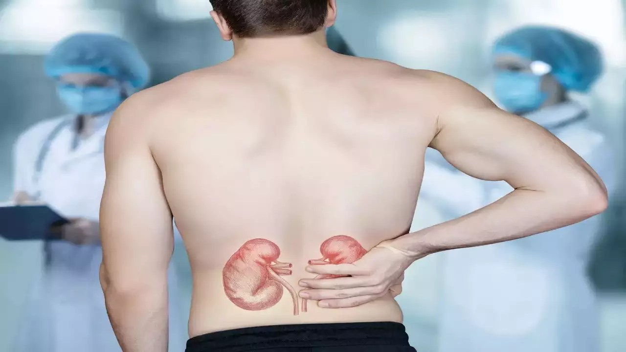 Stages of passing a kidney stone Warning, Risks and What to expect?