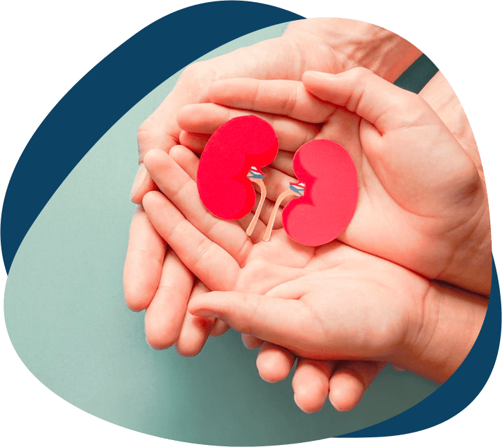 Grants Kidney Transplant Collaborative