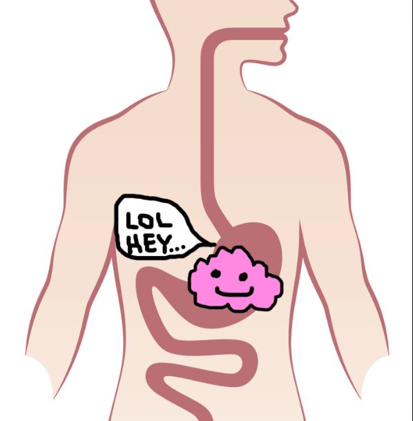 What Happens If You Swallow Gum? Kidpid