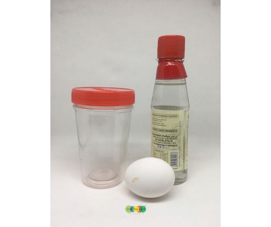 Egg in Vinegar Experiment for Kids - KidPillar