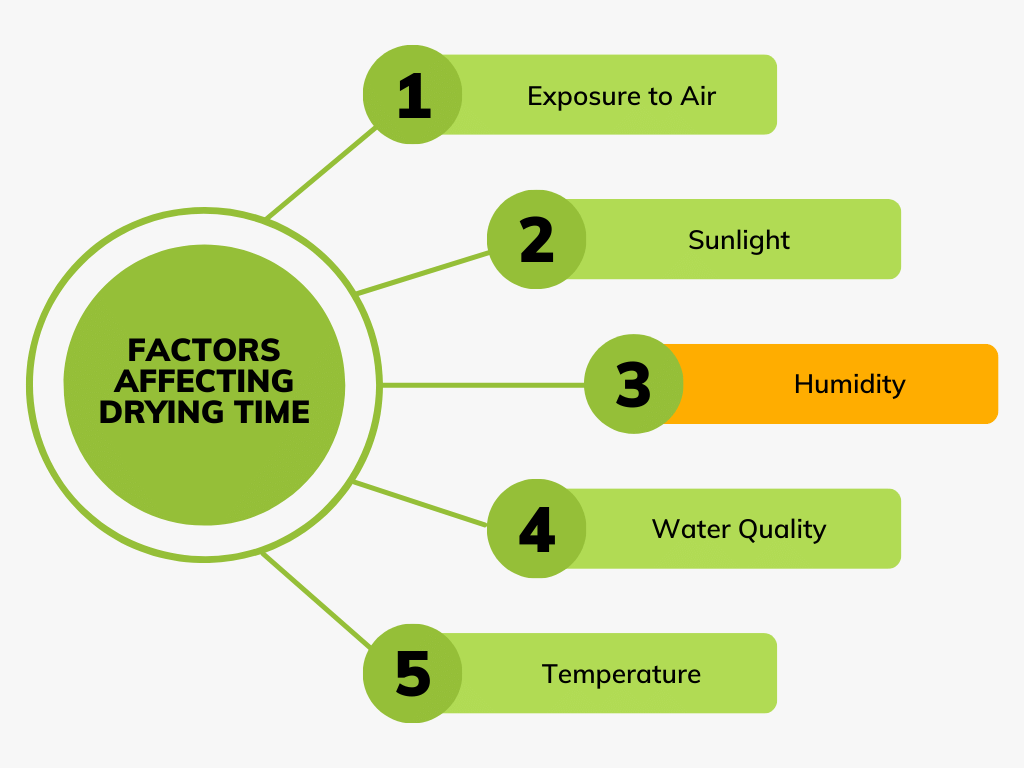 Do Orbeez Dry Out and Shrink to Their Original Size?