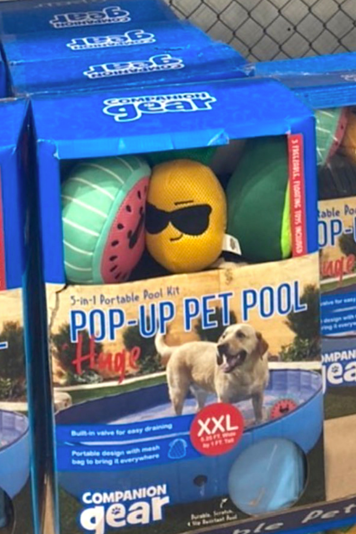 Costco is Selling a PopUp Pool For Your Dog and It's Perfect For
