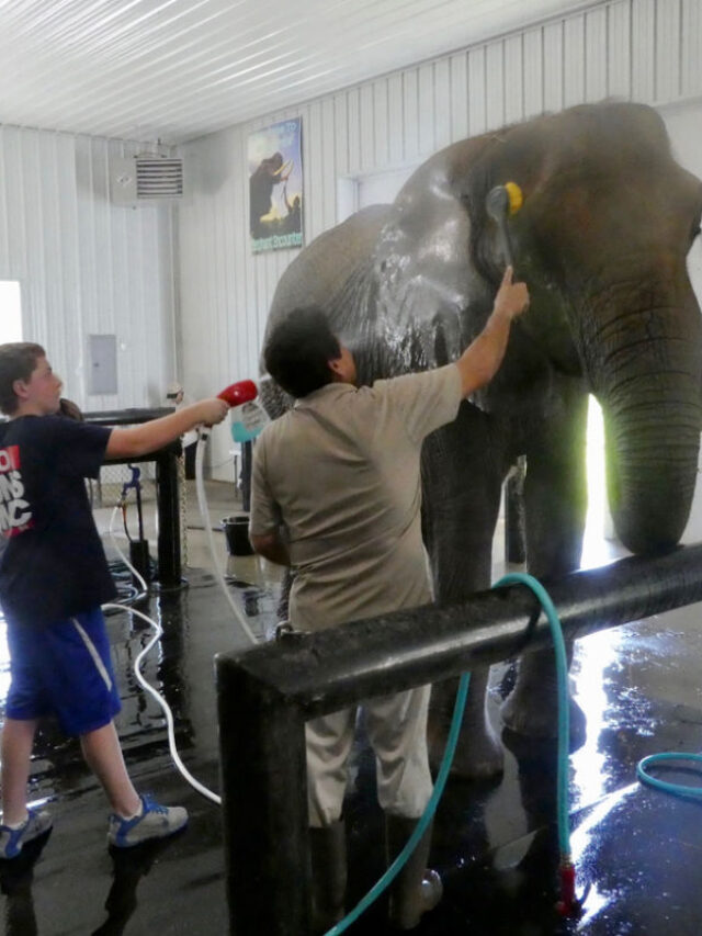 10 Activities in French Lick, Indiana Kids Are A Trip™