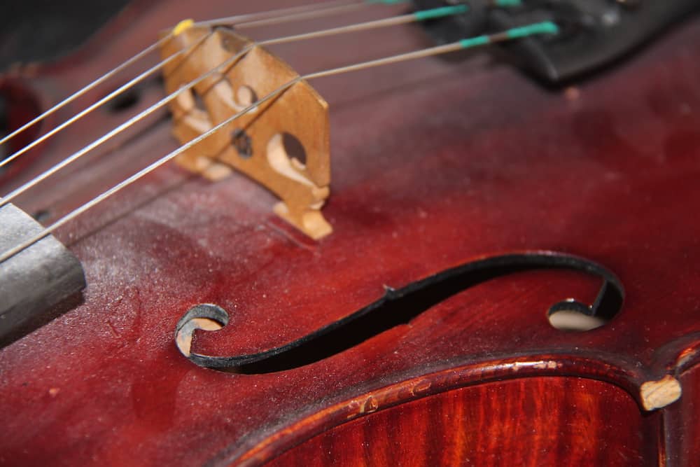 How Much Does a Violin Cost? Kids Classical Music