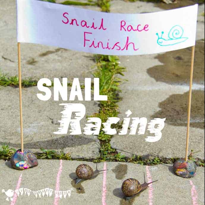Learn Snail Facts by Snail Racing Kids Craft Room