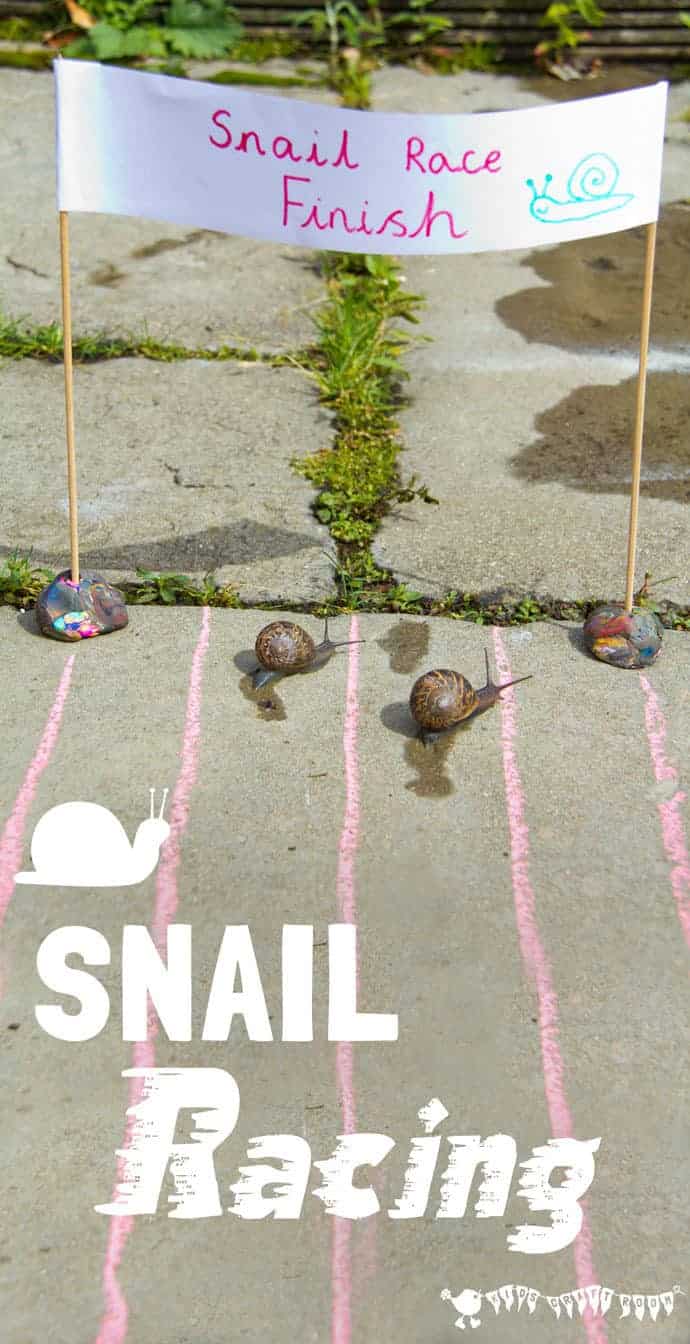 Learn Snail Facts by Snail Racing Kids Craft Room