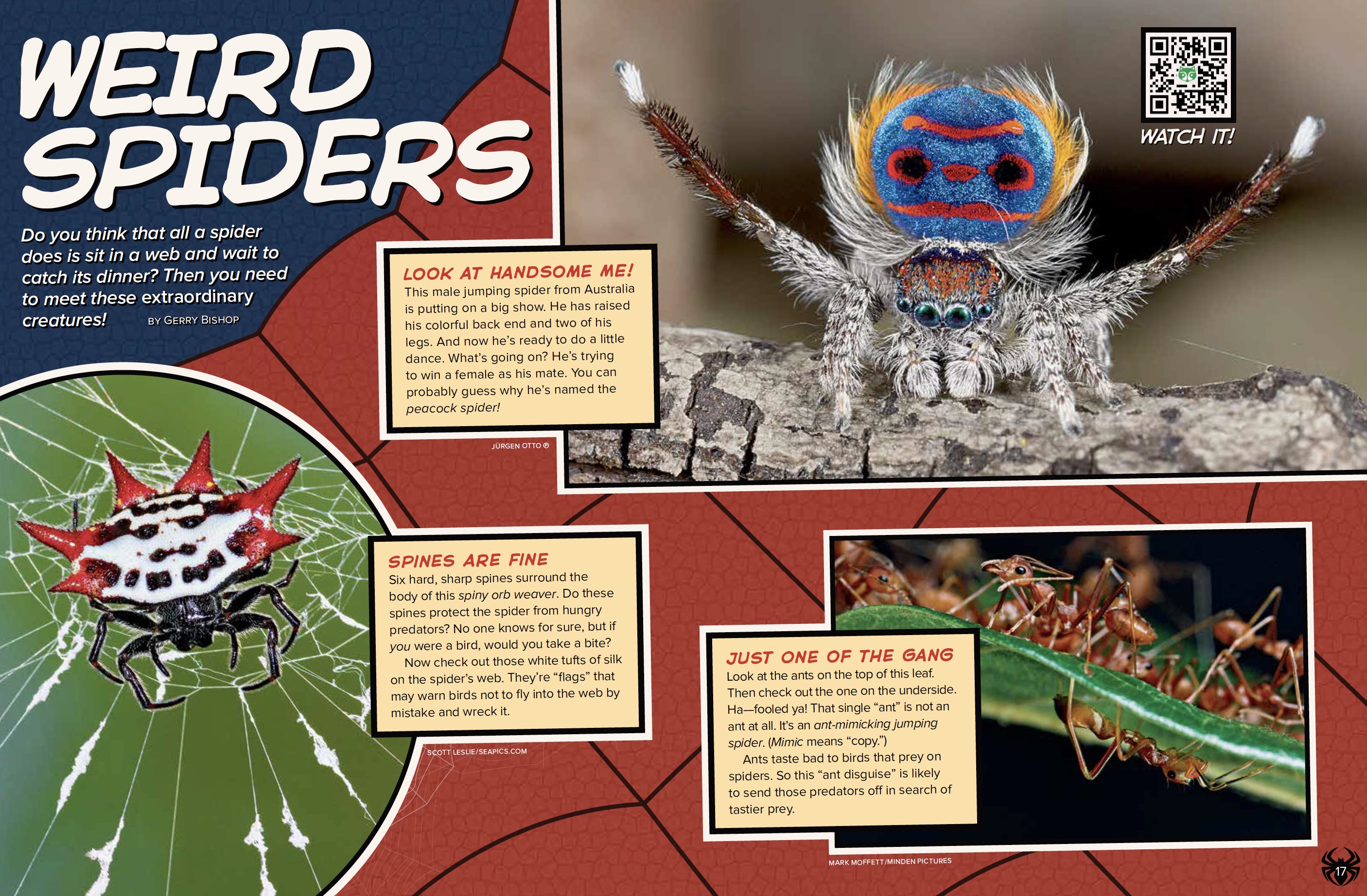 White Spider Cartoon Show