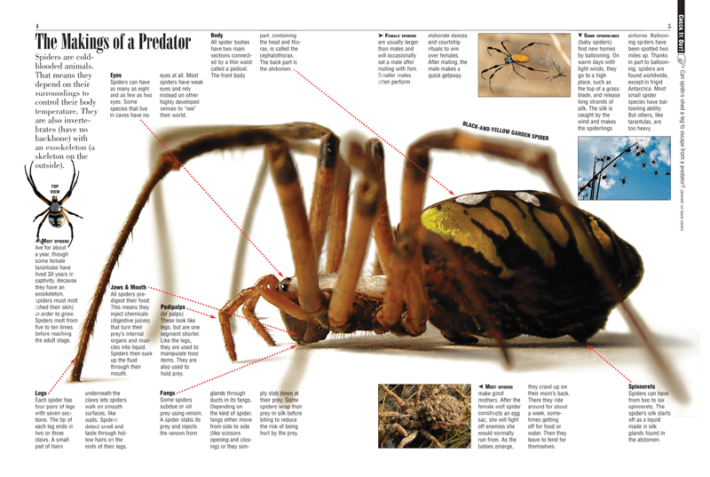 Spiderman coloring pages Free Coloring Pages