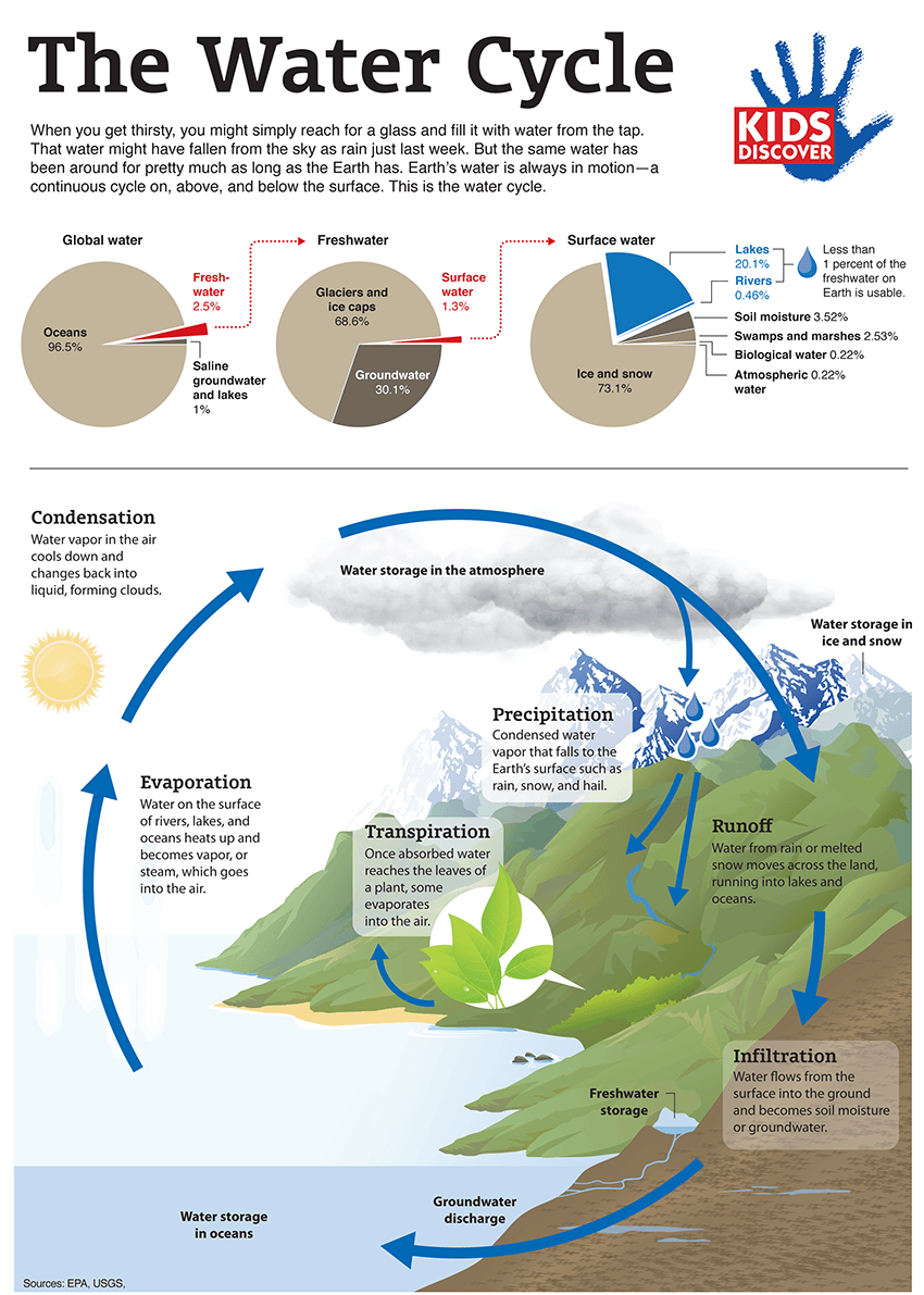 Infographic The Water Cycle KIDS DISCOVER