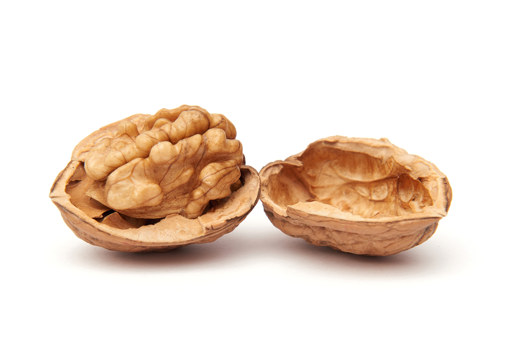 Origins of Walnuts Kids Discover