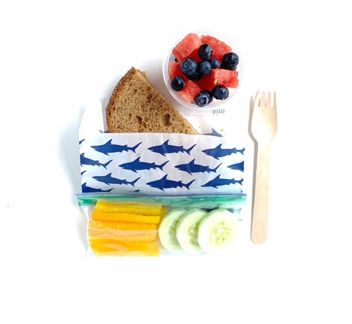 Complete Guide to Disposable Lunches for School and Daycare Kids Eat in Color