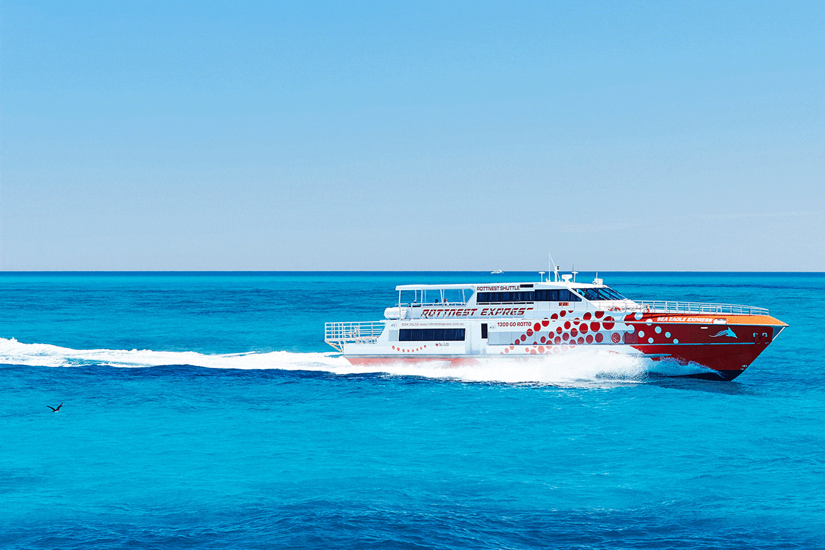 Rottnest Express Kids In Perth