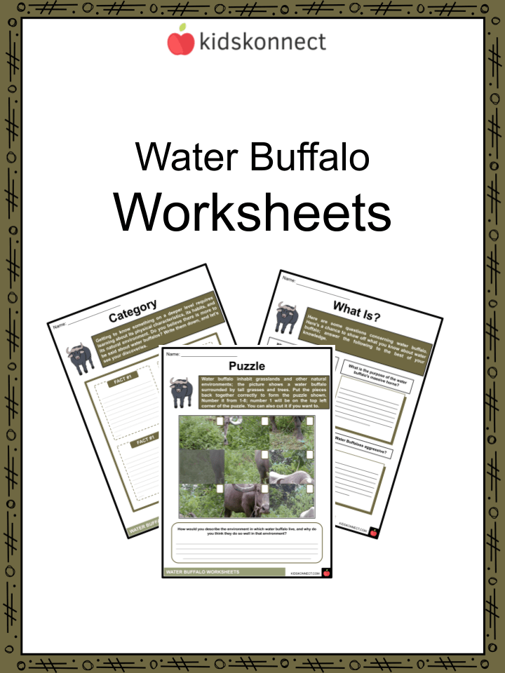 Water Buffalo Facts & Worksheets Habitat, Behavior, Ecology, Diet