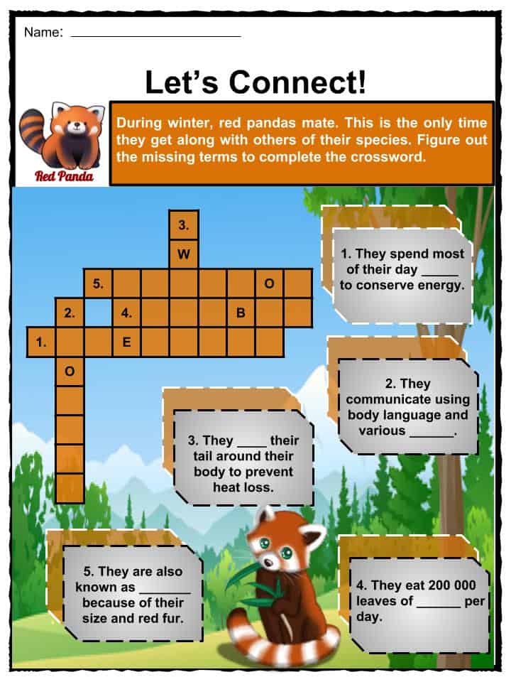 Red Panda Facts, Worksheets, Habitat, Anatomy and Life Cycle For Kids