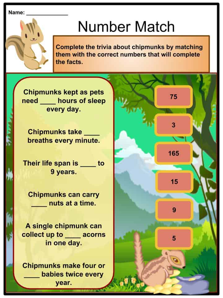 Chipmunk Facts & Worksheets Diet, Species, Life, Ecology