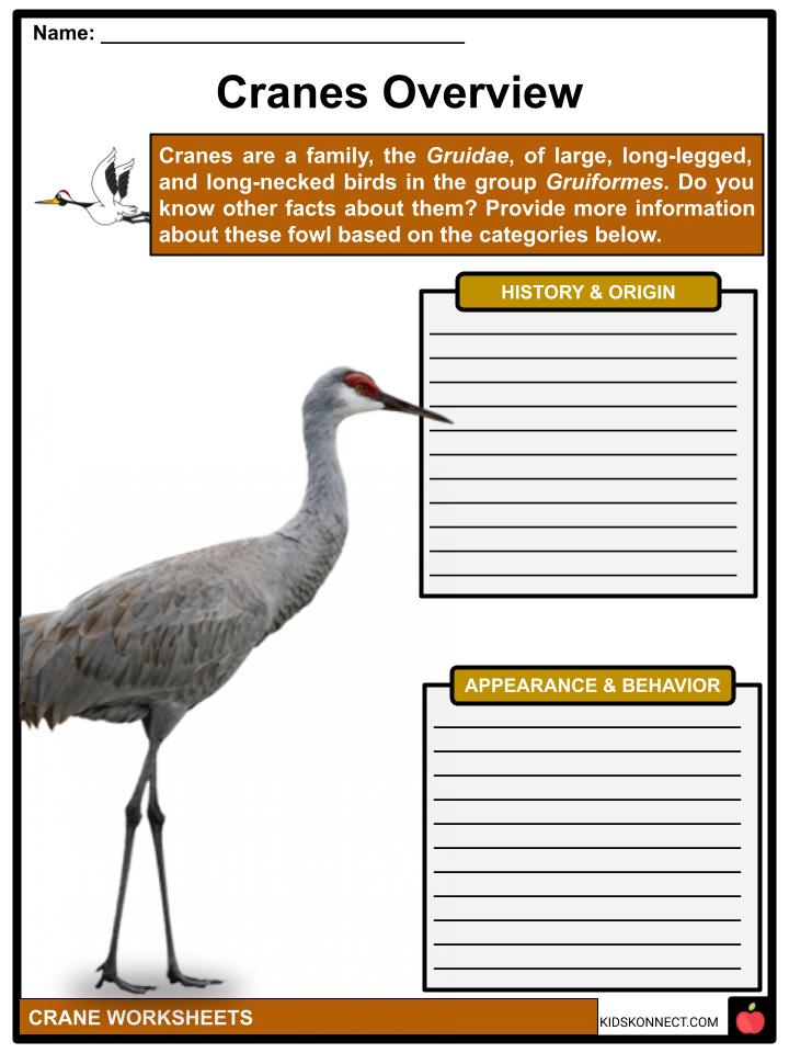 Term For A Young Crane Crossword at Michelle Dayton blog