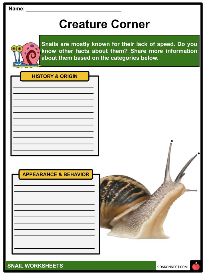 Snail Facts, Worksheets, Biology & Hibernation For Kids