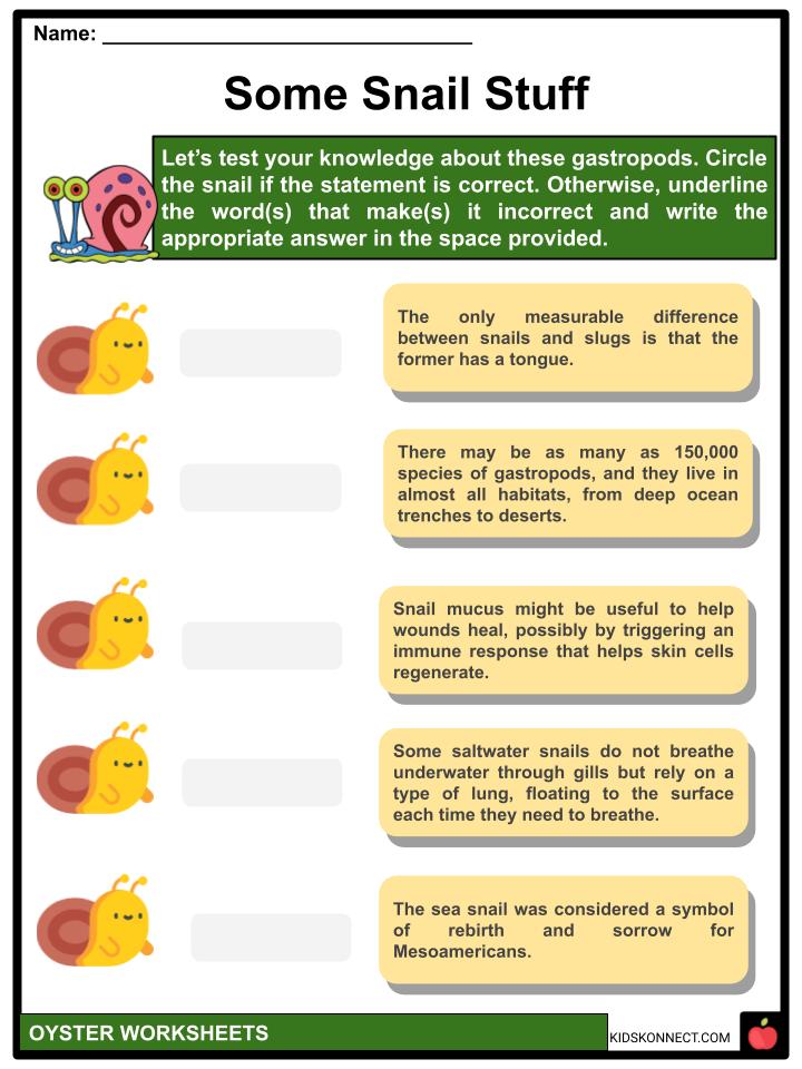 Snail Facts, Worksheets, Biology & Hibernation For Kids