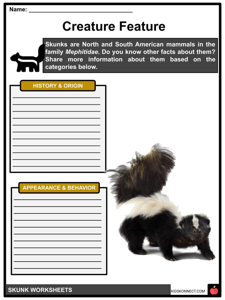 Skunk Facts, Worksheets, Overview, Description & Behavior For Kids