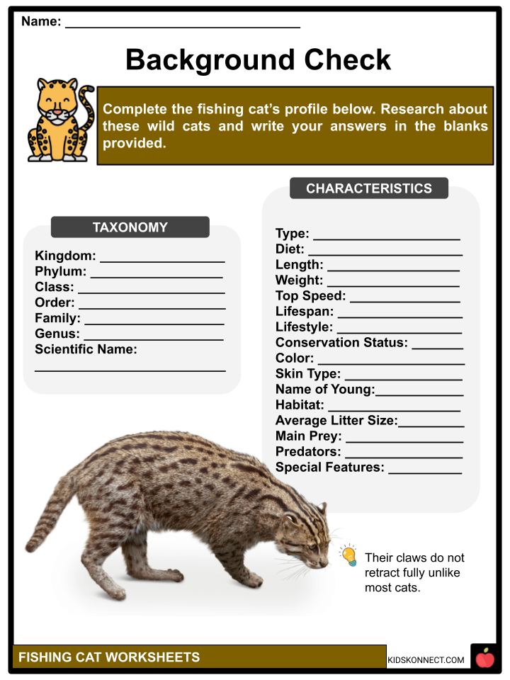 Fishing Cat Facts, Characteristics, and Threats Teaching Resources