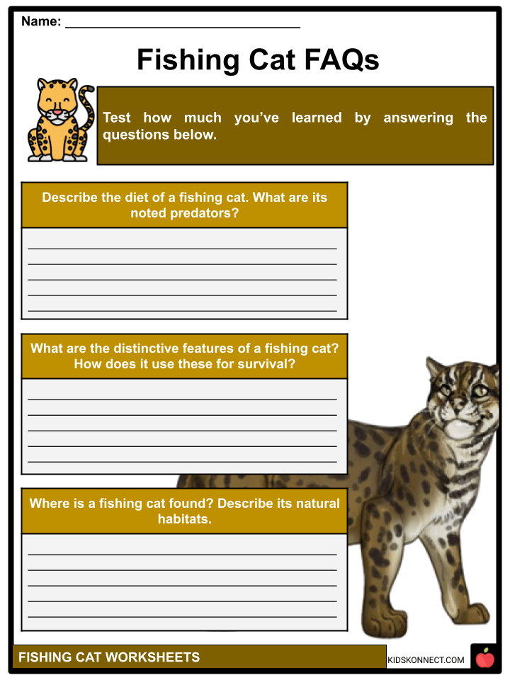 Fishing Cat Facts, Characteristics, and Threats Teaching Resources