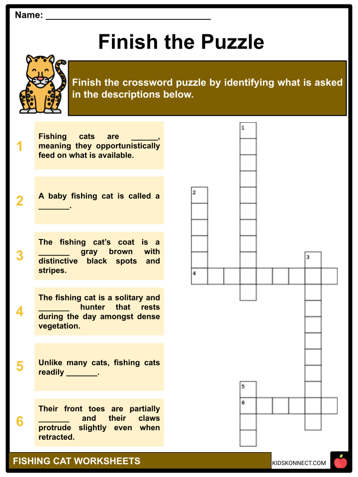 Fishing Cat Facts, Characteristics, and Threats Teaching Resources