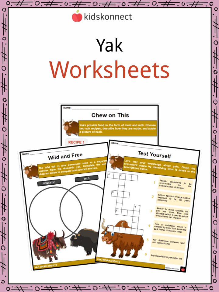 Yak Facts, Worksheets, Types & Benefits For Kids