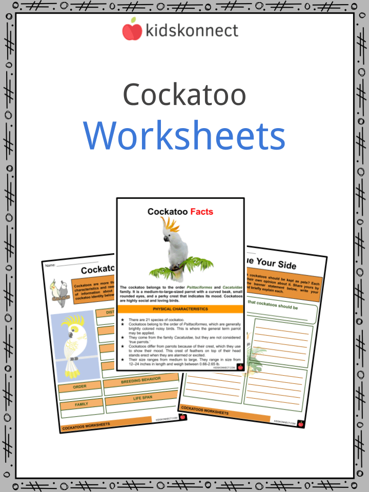 Cockatoo Worksheets & Facts Habitat, Species, Population