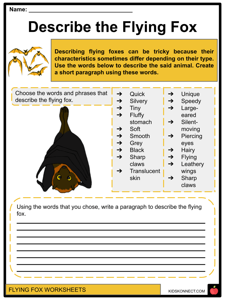 Flying Fox Worksheets & Facts Types, Characteristics, Habitat