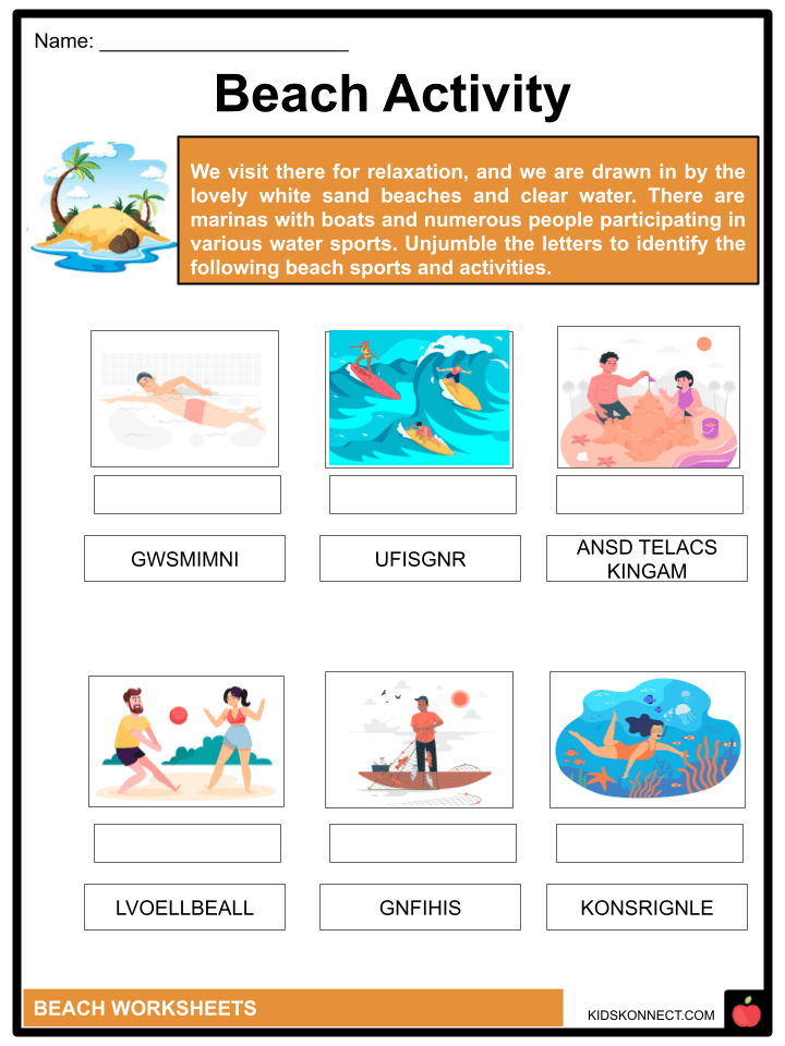 Beach Facts & Worksheets Tides, Landforms, Beach Animals