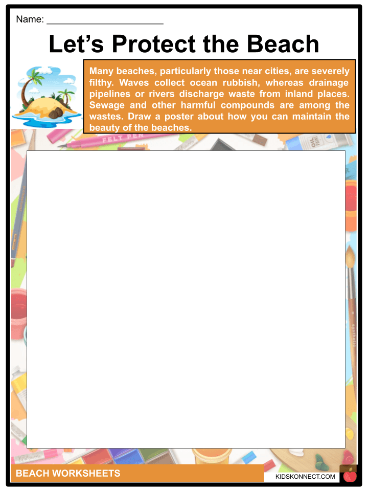 Beach Facts & Worksheets Tides, Landforms, Beach Animals